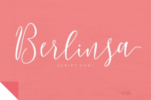 Berlinsa: A Handwritten Script That Makes Your Campaigns Instantly Clear