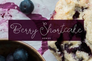 Berry Shortcake: A Handcrafted Script Font That Elevates Your Brand