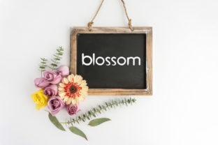 Blossom: A Sweet, Flowing Sans Serif Font for Real Small Businesses