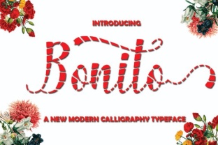 Bonito Script Font for Small Business Branding