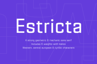 Estricta Family: A Sharp, Geometric Sans Serif for Modern Branding