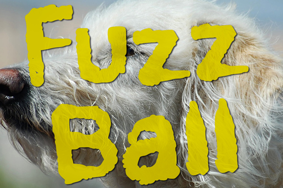 Fuzzball: A Playful, Polished Decorative Font for Small Business Branding