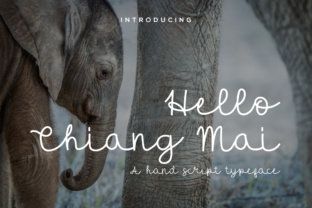 Hello Chiang Mai: A Relaxed Script Font That Feels Like a First Draft—But Polished