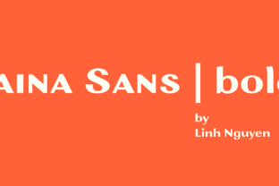 Jaina Sans: A Display Font That Commands Attention