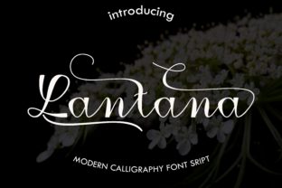 Lantana: A Modern Calligraphy Font for Handmade Brands