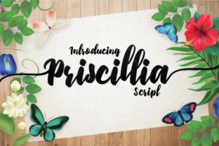 Priscillia Script Font for Modern Web Design