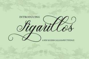 Sigarillos: A Premium Script Font for Scroll-Stopping Campaigns